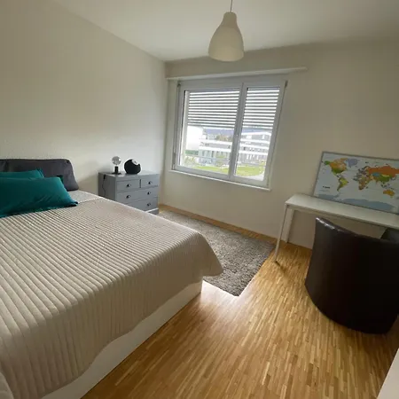 Professional Working Rolle