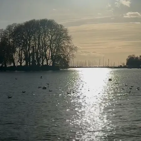 Professional Working