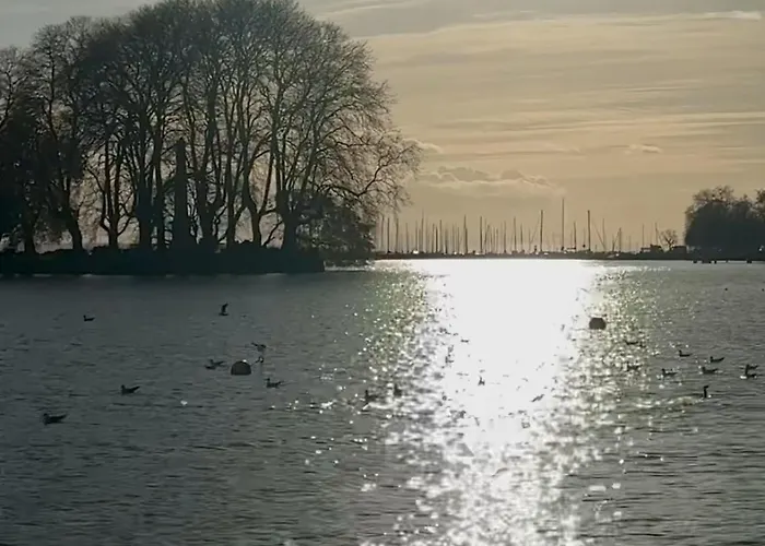 Professional Working